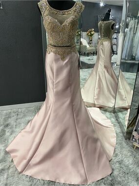 Embellished Illusion Bodice Satin Mermaid Dress in Blush and nude